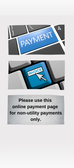 Utility E-Payment